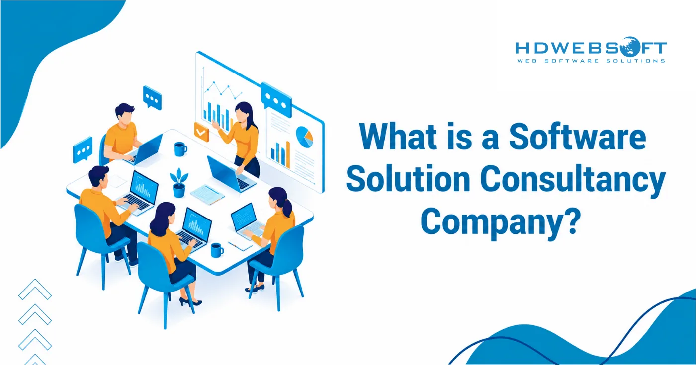 What is a Software Solution Consultancy Company