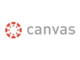 Custom software development - Canvas