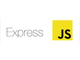 Custom software development - Express JS