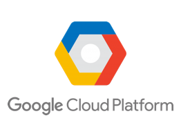 Google Cloud Platform Logo in Custom Software Development