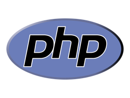 Custom software development service - php