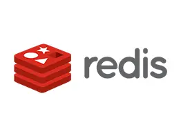 Custom software development service - redis