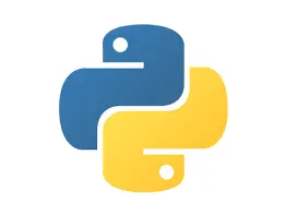 Custom software development service - Python
