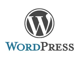 Custom software development - Wordpress