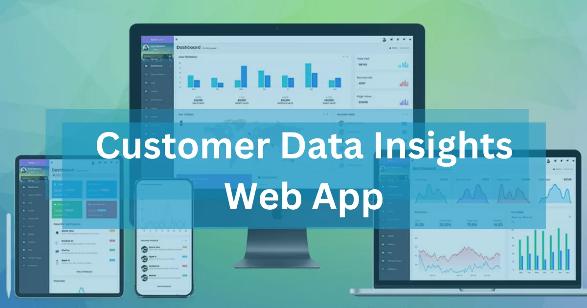 Customer Data Insights Web App