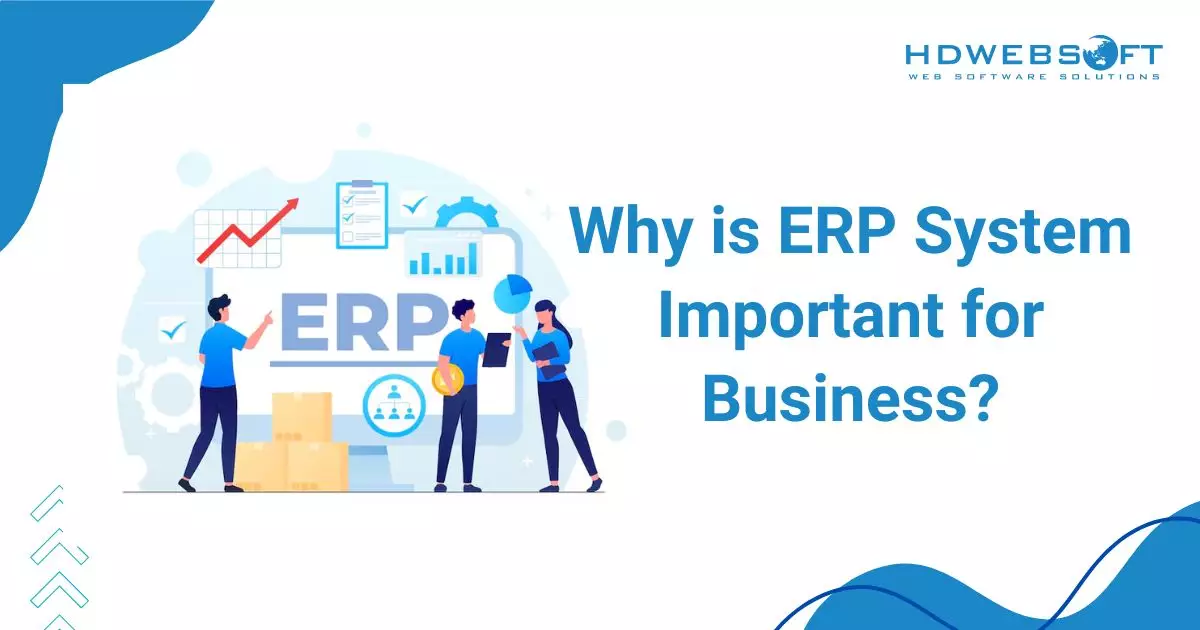 Why is ERP System Important for business?