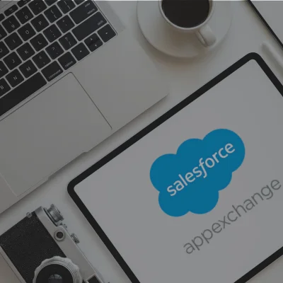 AppExchange Salesforce Development Services